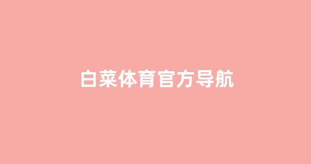网上白菜开户